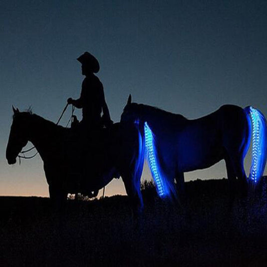 NightRider LED - reflector for your horse
